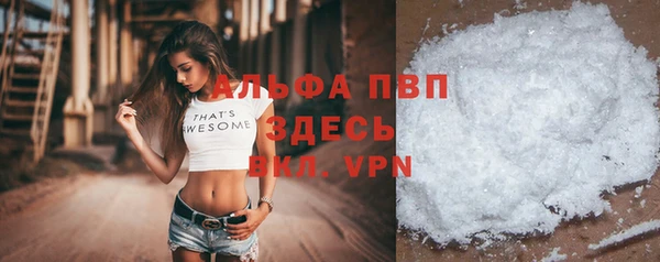 индика Армянск