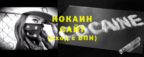 индика Армянск