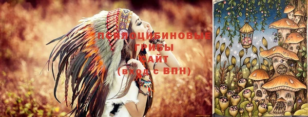 индика Армянск