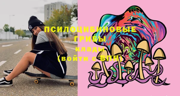 спиды Аркадак