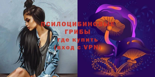 индика Армянск