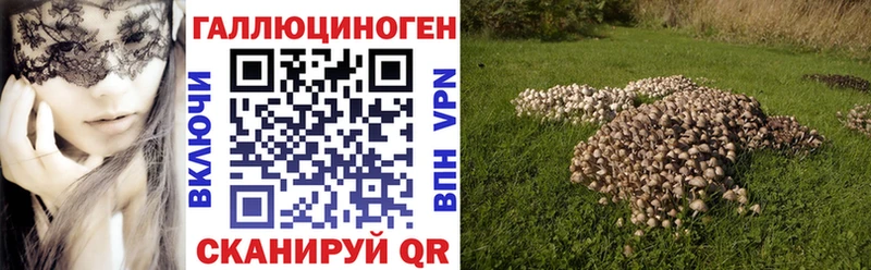 Галлюциногенные грибы MAGIC MUSHROOMS  Никольское 